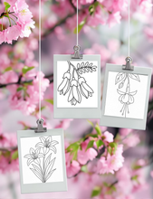 Load image into Gallery viewer, Dementia Friendly NZ Flowers Colouring Book