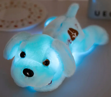 Load image into Gallery viewer, Grief Support Light Up Puppy
